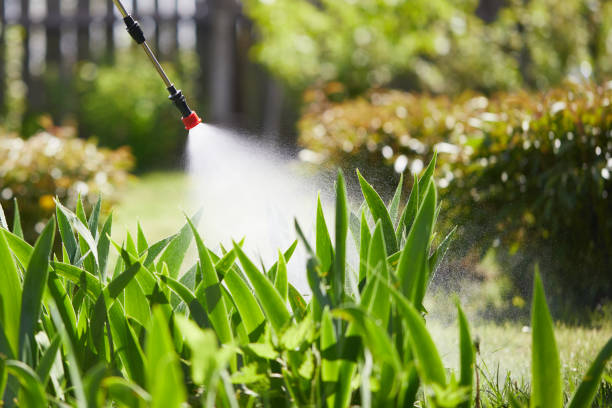 24/7 Emergency Mosquito Control experts in Swede Heaven, WA